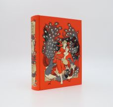 THE ORANGE FAIRY BOOK