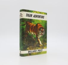 TIGER ADVENTURE