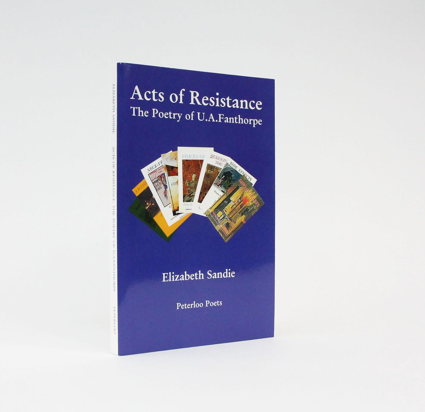 ACTS OF RESISTANCE: -  image 1