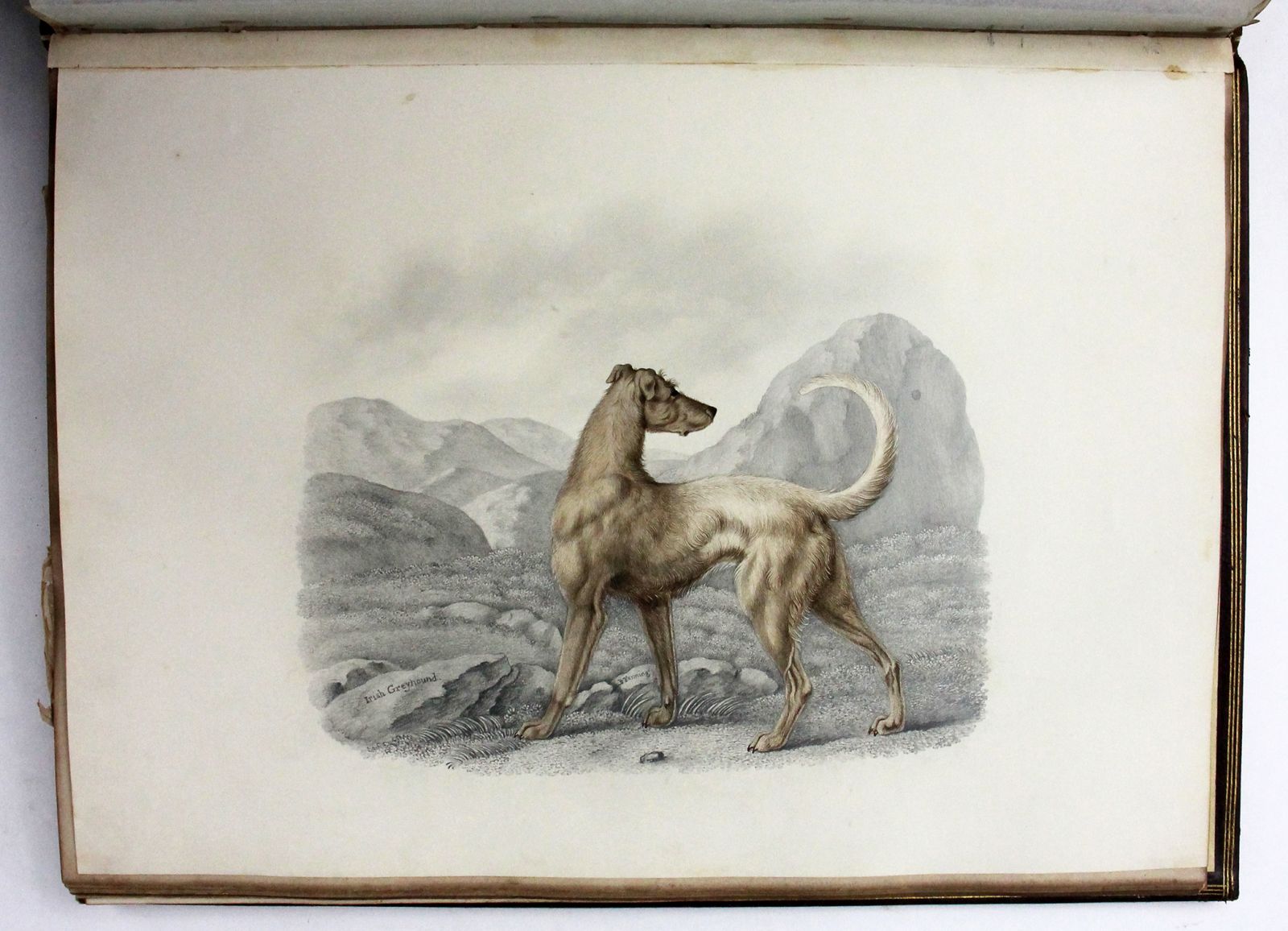 FINE REGENCY ALBUM OF WATERCOLOURS, DRAWINGS, OIL SKETCHES, AND ENGRAVINGS -  image 9