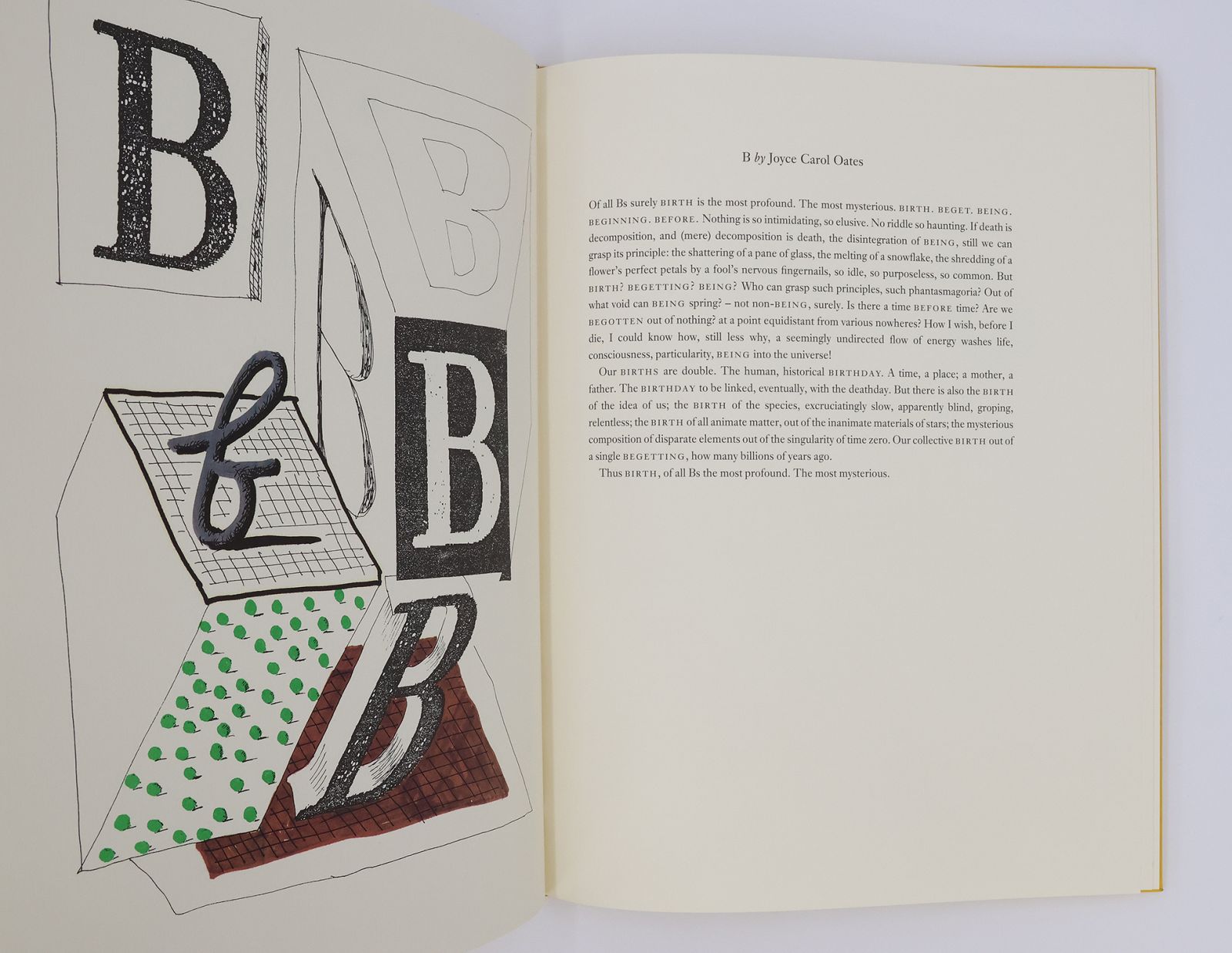 HOCKNEY'S ALPHABET -  image 6