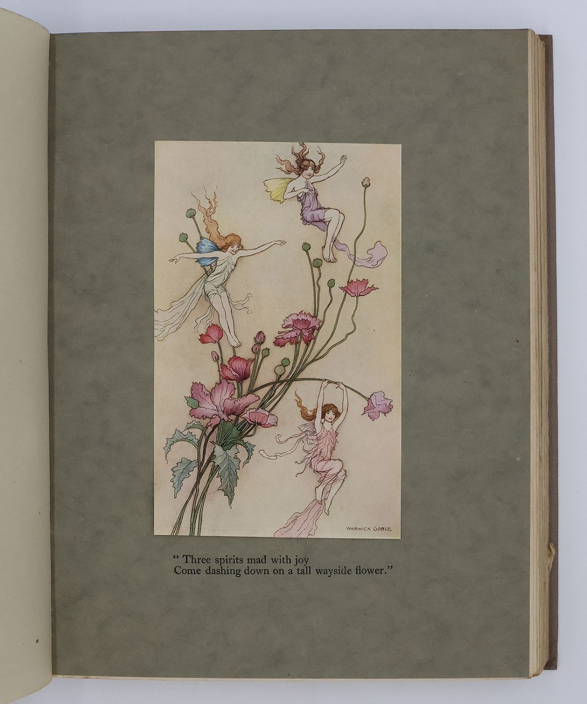 THE BOOK OF FAIRY POETRY -  image 6