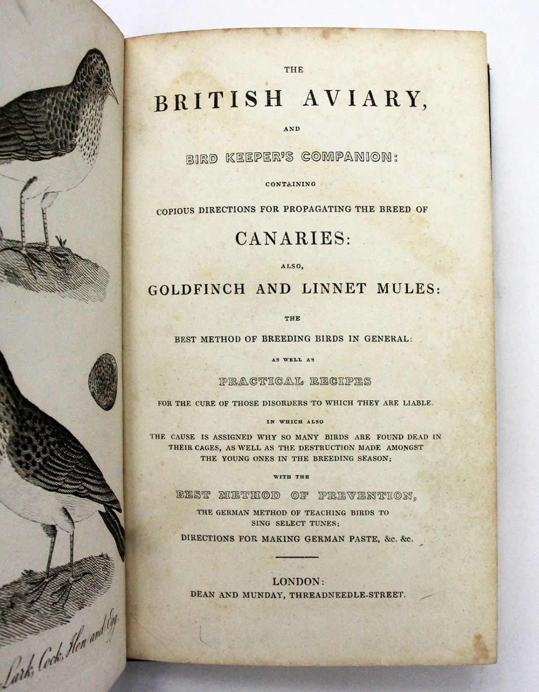 THE BRITISH AVIARY, AND BIRD KEEPER'S COMPANION: -  image 3