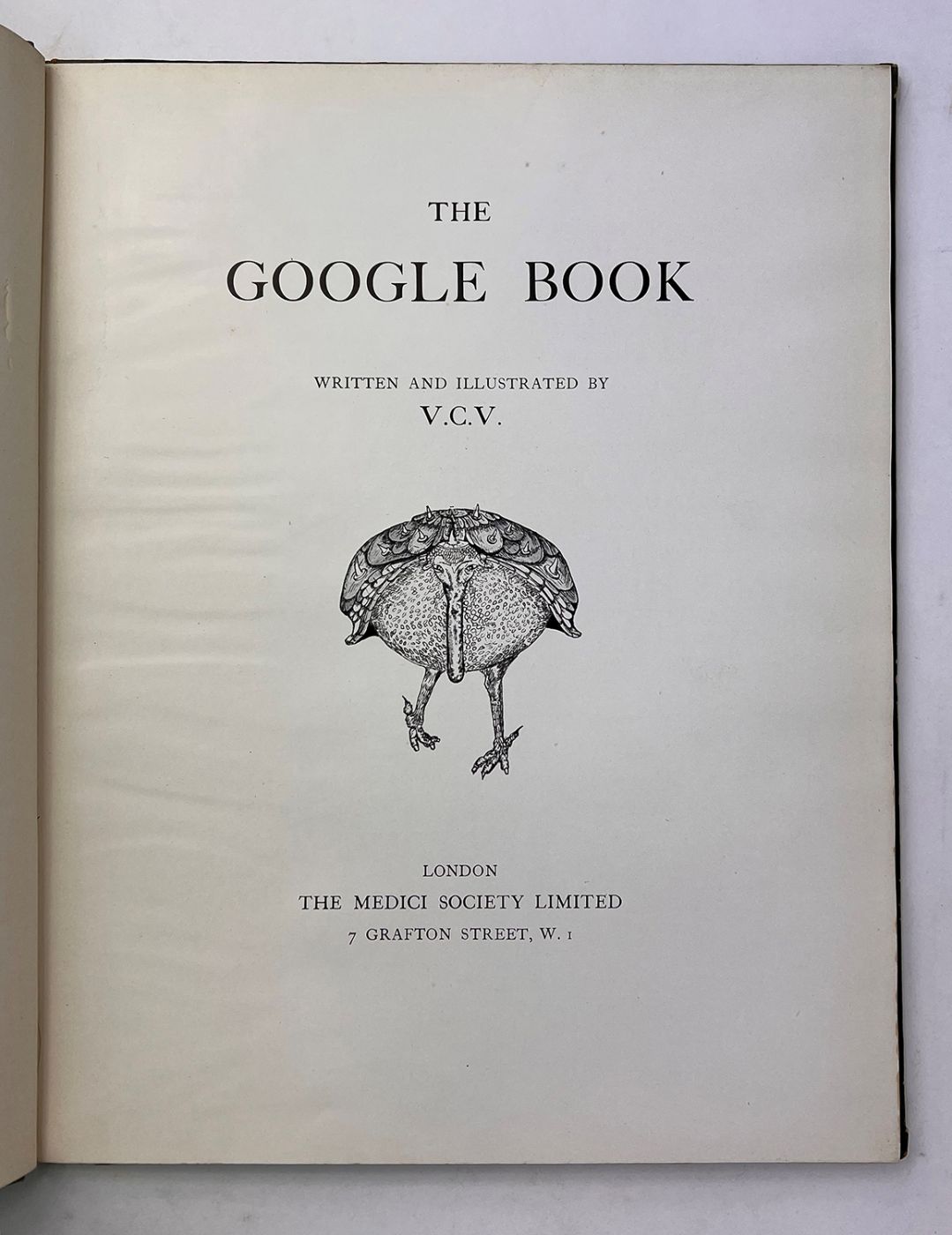 THE GOOGLE BOOK -  image 3