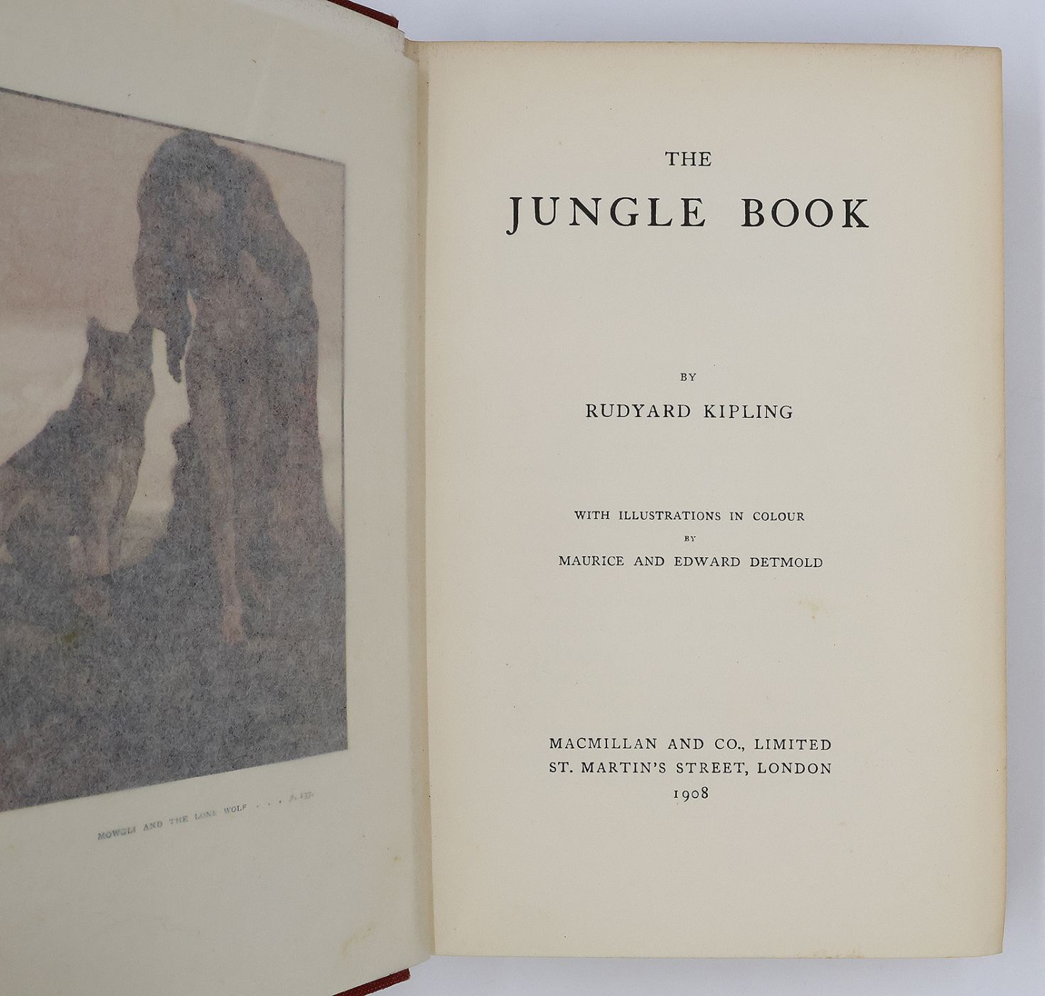 THE JUNGLE BOOK -  image 4