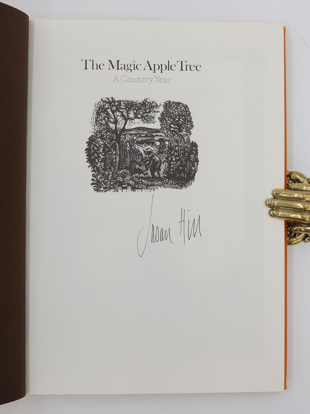 THE MAGIC APPLE TREE. -  image 2