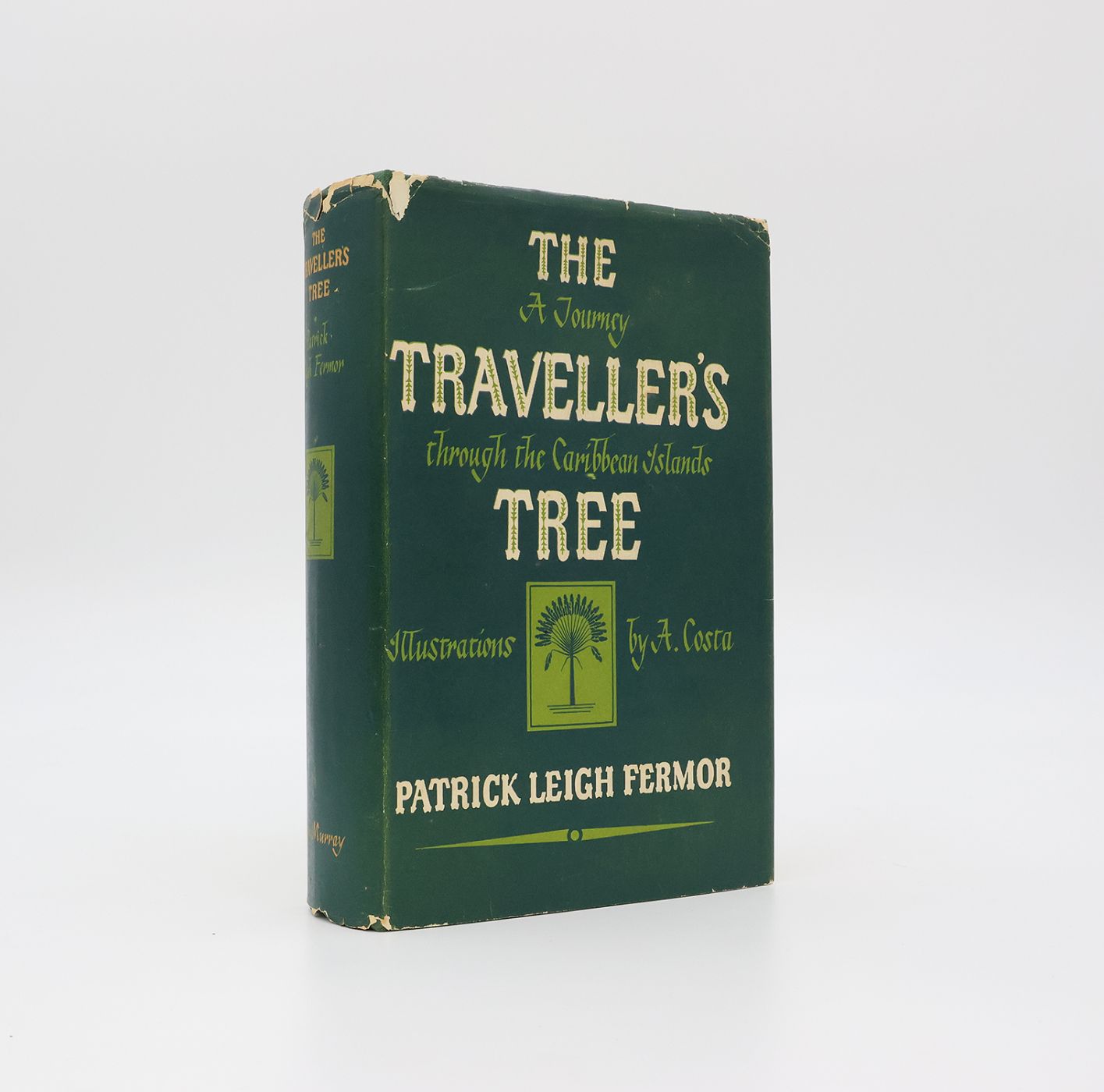 THE TRAVELLER'S TREE. -  image 1