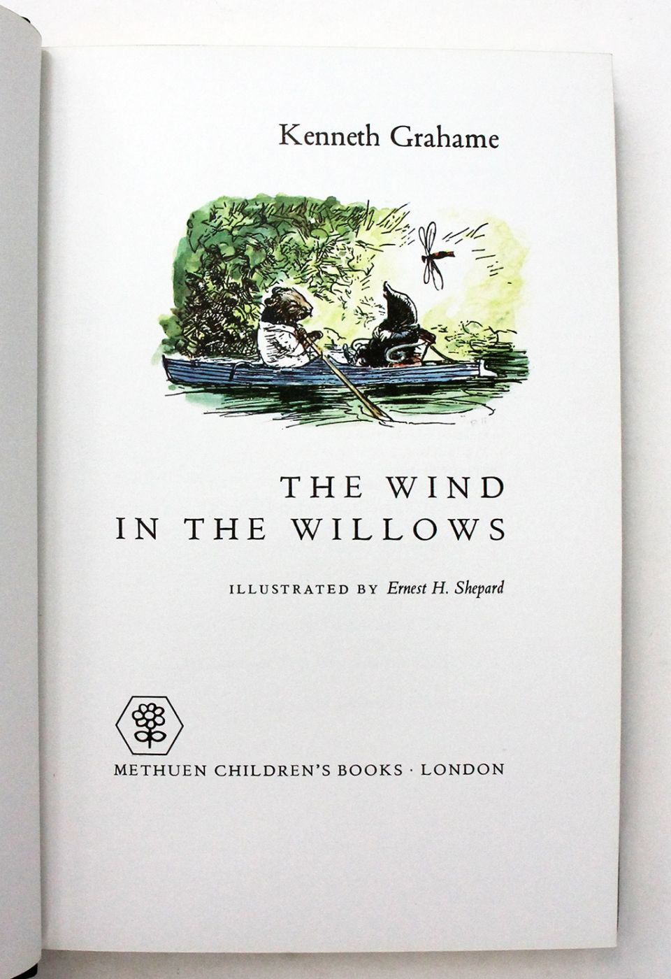 THE WIND IN THE WILLOWS -  image 8